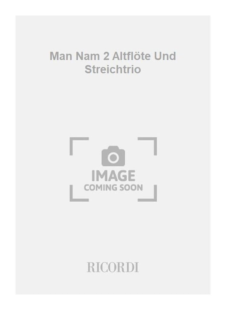 Man Nam 2 Altflöte Und Streichtrio